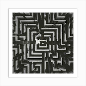 Labyrinth Art Print