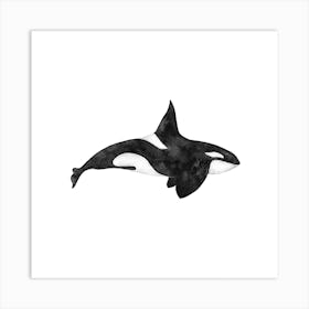 Orca Square Art Print