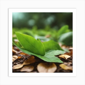 Green Leaf On The Ground Art Print