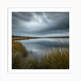 Dark Sky Over Marsh Art Print