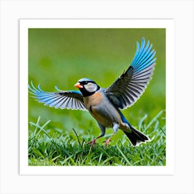 Blue Finch Art Print