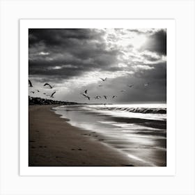 Calm Beach Black And White Art Print