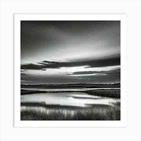 Black And White Photograph - Marsh Art Print