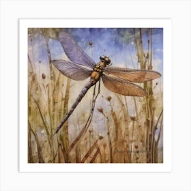 Dragon Fly By Peter Ghetu 2024 Art Print