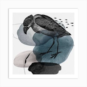 Feathered Friends Bird Black & Navy Square Art Print
