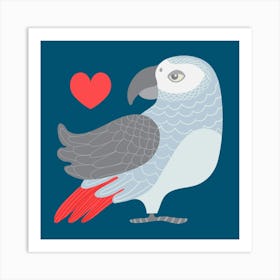 PARROT LOVE African Gray Parrot Bird with Heart in Grey Blue Red on Dark Blue Art Print