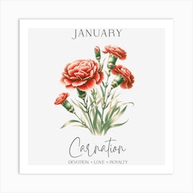 Carnations January Birthday Art Print