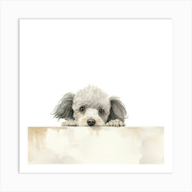 Poodle Dog 1 Art Print