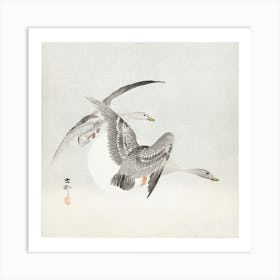 Two Colt Geese In Flight (1900 1930), Ohara Koson Art Print