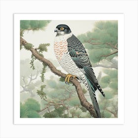 Ohara Koson Inspired Bird Painting Eurasian Sparrowhawk 3 Square Art Print