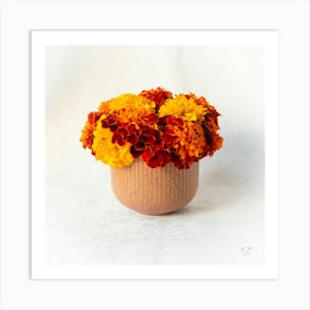 Marigold Flowers In A Cup 3 Art Print