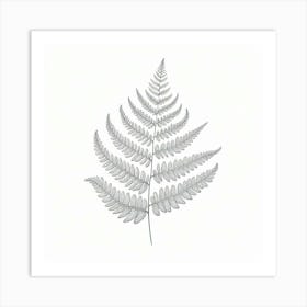 Line Art fern leaves 3 Art Print