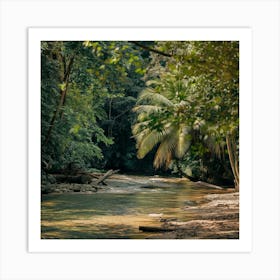 A Photo Of A Lush Jungle With A River Running Thro Amjf9dxtroijov29gv4zha Gps7fgfatuop0ctzd9w3sg Art Print