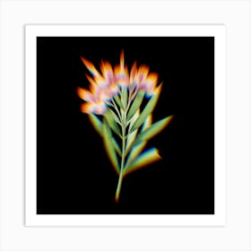 Prism Shift Oleander Nerium Botanical Illustration on Black n.0114 Art Print