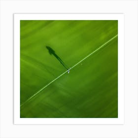 Lawn Green Grass Line Drone Person Surface Field Descending Adult Day Greenery Sharpened (1) Art Print