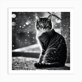 Cat In The Rain 1 Art Print