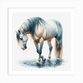 Horse In Water 1 Art Print