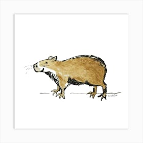 Capybara Art Print