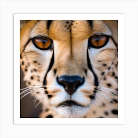 Cheetah Face Art Print