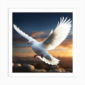 Dove In Flight Art Print