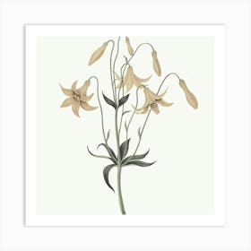 Lily Of The Valley 3 Art Print