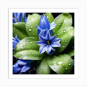 Blue flower Art Print