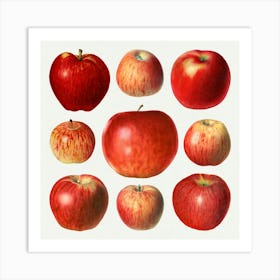 Red Apples Art Print