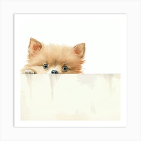 Pomeranian Puppy 1 Art Print