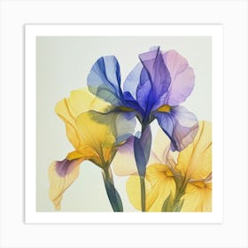 Three Irises. Purple and Yellow Watercolor Art Print