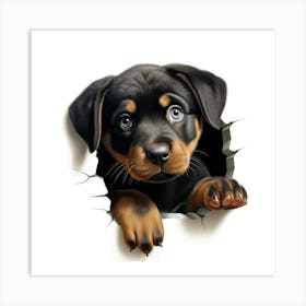 Rottweiler Puppy 1 Art Print