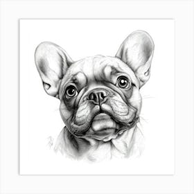 French Bulldog Art Print