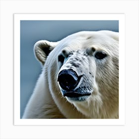 Polar Bear Art Print