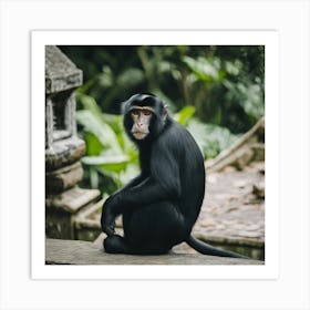 Monkey In The Jungle 2 Art Print