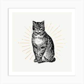 Cat With Sunburst 1 Art Print