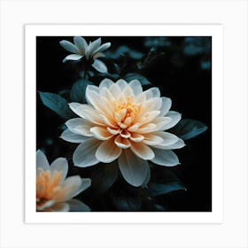 Dahlia 3 Art Print