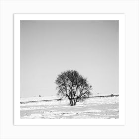 Arbre dans La Prairie Art Print