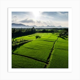 Grow Plant Green Background Field Aerial Landscape Pattern Agriculture Grass Harvesting C (1) Art Print