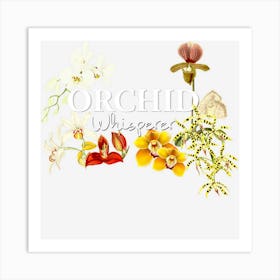 Orchid Whisperer I Love Orchids Orchid Grower Art Print