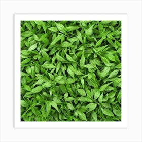 Close Up Of Green Leaves 1 Art Print