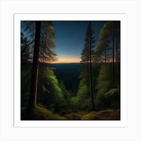 Sunset In The Forest 8 Art Print