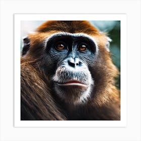 Close Up Of A Monkey 3 Art Print
