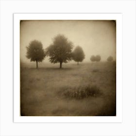 Three Trees In The Fog Art Print