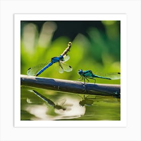 Dragonflies 1 Art Print