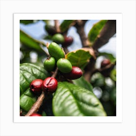 Coffee Beans On A Tree 14 Art Print