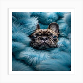 French Bulldog In Blue Fur Art Print