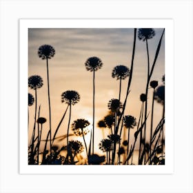 Alliums At Sunset Art Print