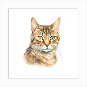 Zambian Cat Portrait 3 Art Print