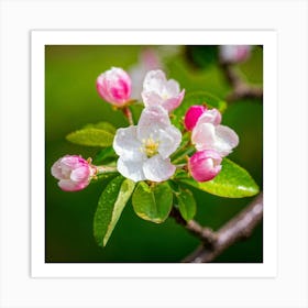 Blooming Pear Tree In Spring Close Shot Showcasing The Intricate Arrangement Of Small Blush Toned B (4) Art Print