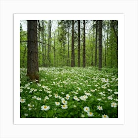 Daisies In The Forest Art Print