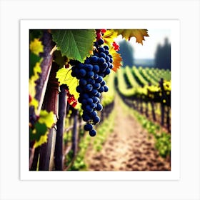 Grapes In The Vineyard Art Print